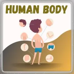 human body icon