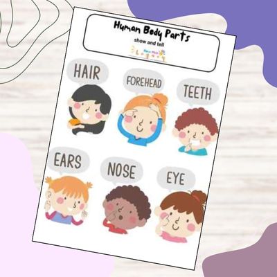 Show And Tell Body Parts