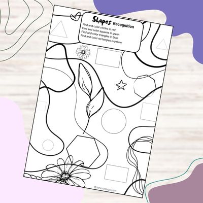 Shape Recognition Activity
