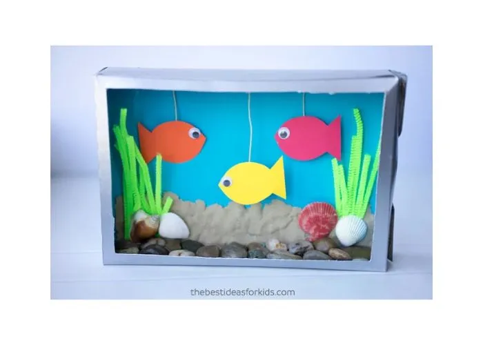 cardboard box aquarium