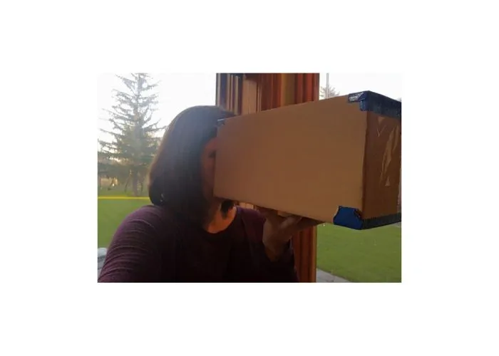 cardboard camera obscura