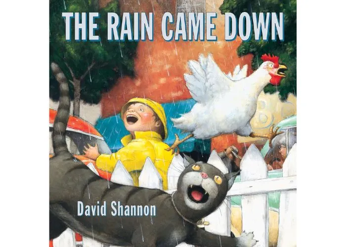 Rain Came Down picture book cover