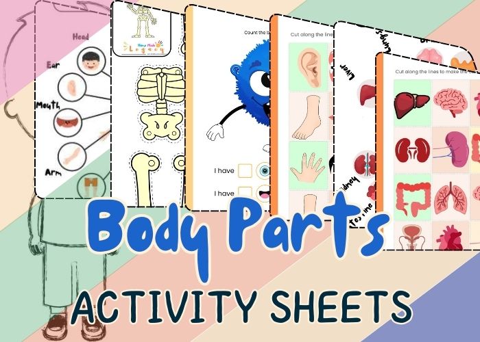 body parts activity sheets