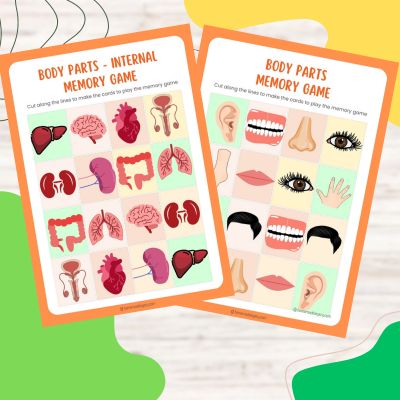 body parts memory game icon