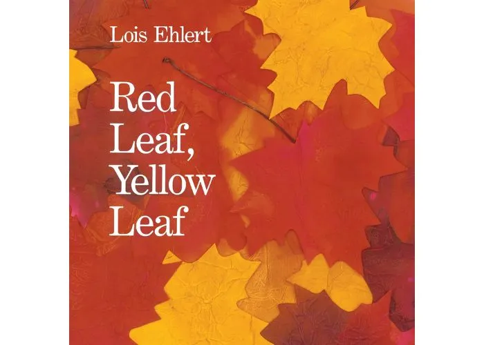 Red leaf, yellow leaf