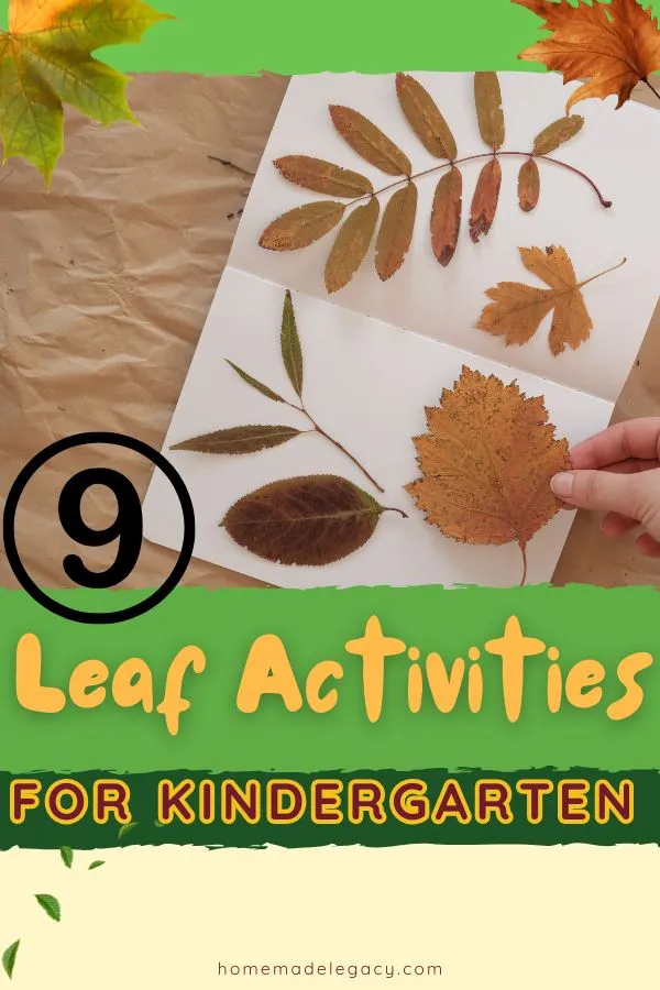 9 Leaf Activities For Kindergarten