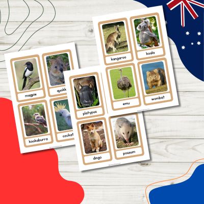 Australian animal flash cards icon