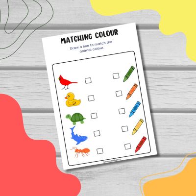 Colour Matching – Animals